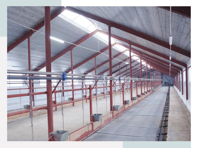 Строительство коровников в Брянске от 645 руб.