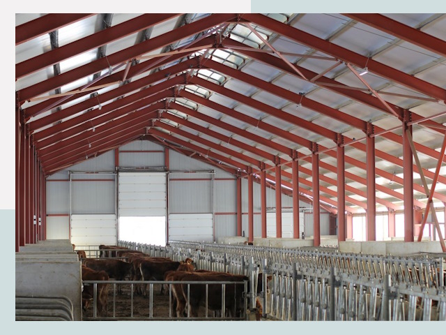 Строительство коровников в Брянске