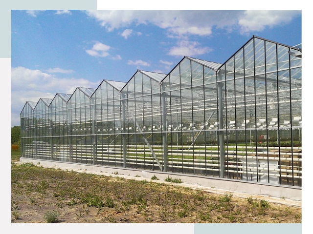 Строительство теплиц в Брянск от 645 руб. за м²