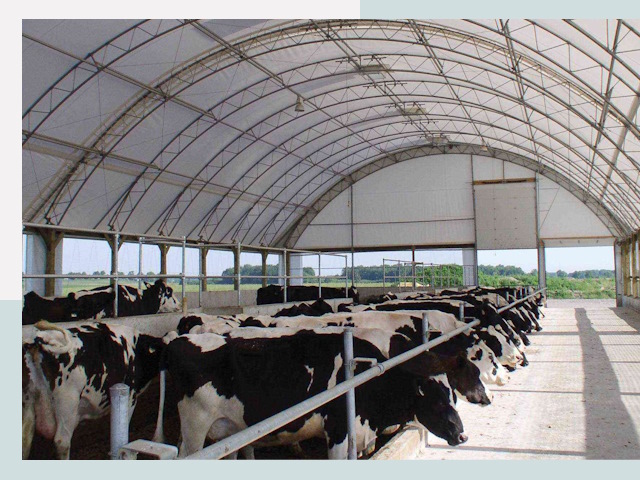 Тентовые коровники в Брянске